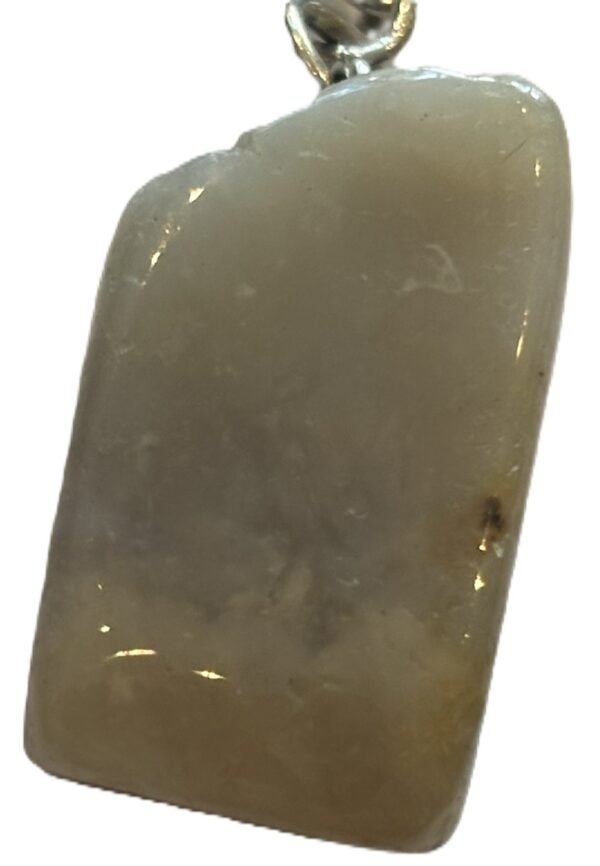 coprolite 3