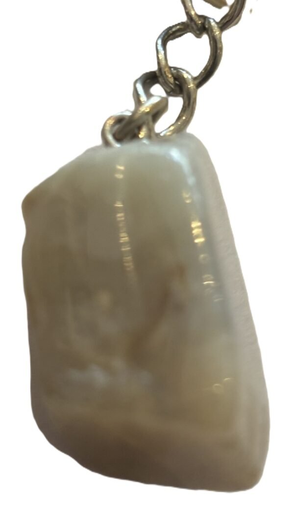 coprolite 4