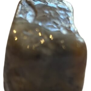 coprolite 5