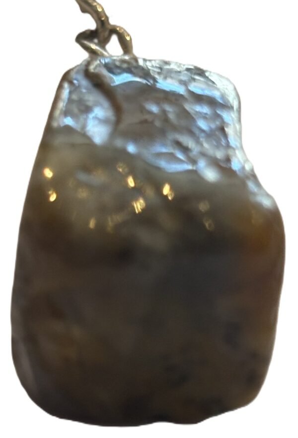 coprolite 5