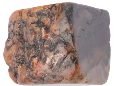 coprolite specimen - Sians Emporium coprolite specimen