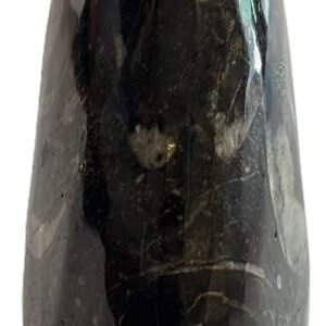 goniatite 14 - Sians Emporium goniatite 14