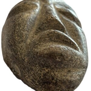mastodon face d.2