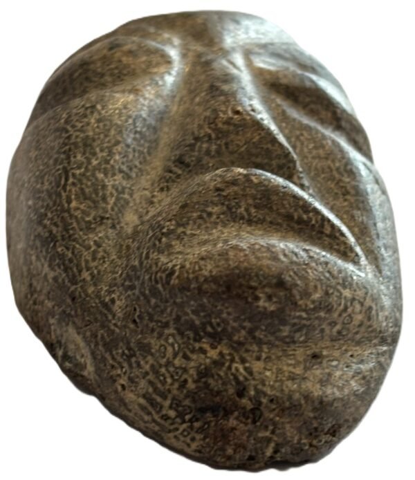 mastodon face d.2