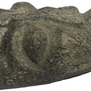 mastodon bone face e1