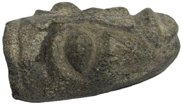 mastodon bone face e1