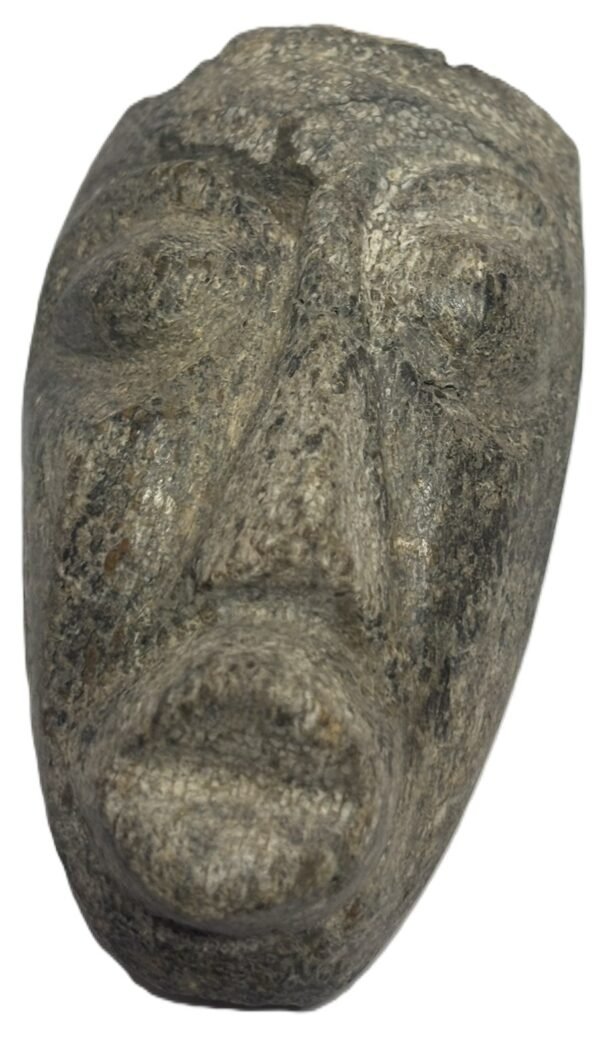 mastodon bone face e2