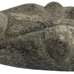 mastodon bone face e3