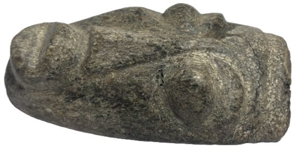 mastodon bone face e3