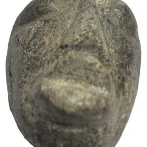 mastodon bone face e4