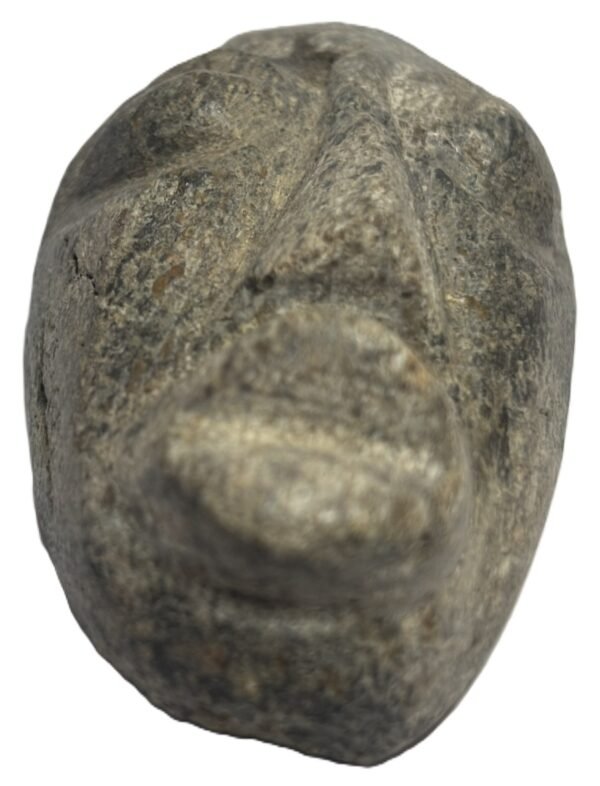 mastodon bone face e4