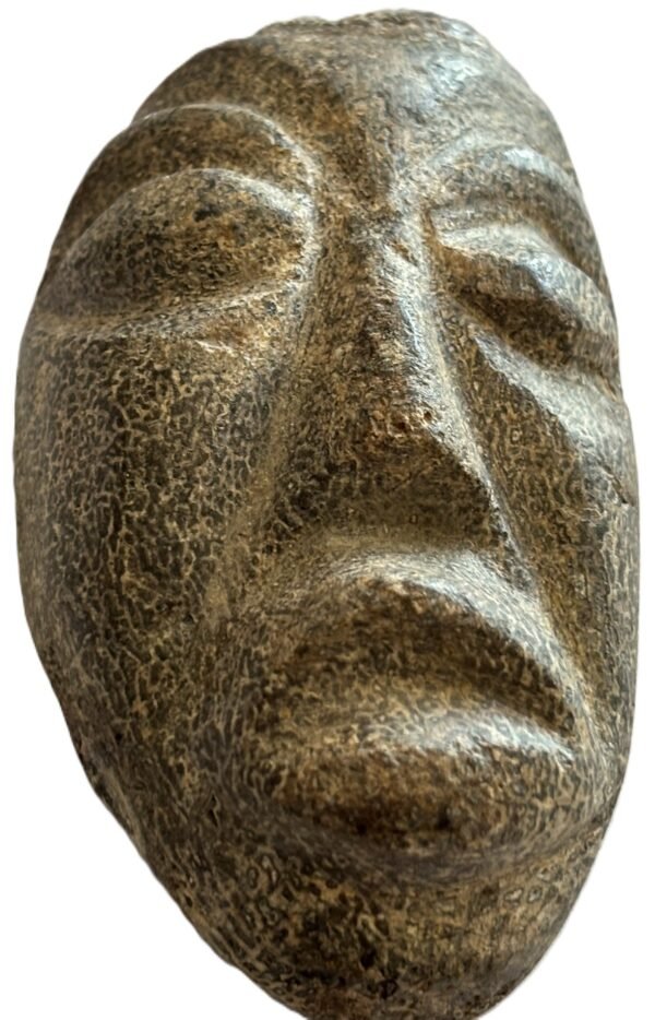 mastodon face d.1