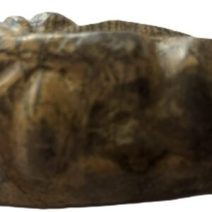 mastodon face d.4