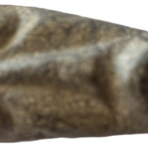 mastodon face a.1