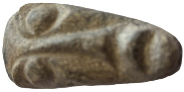 mastodon face a.1