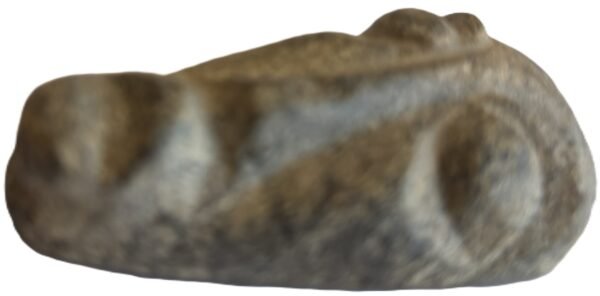 mastodon face a.2