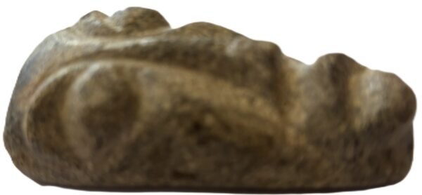mastodon face a.3