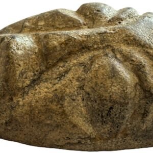 mastodon face f.2