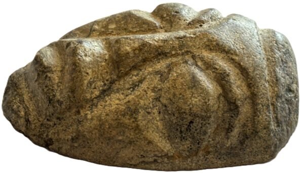 mastodon face f.2