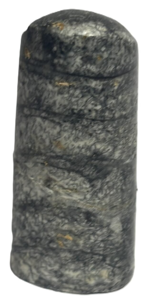 Orthoceras tail 7.1 - Sians Emporium Orthoceras tail 7.1