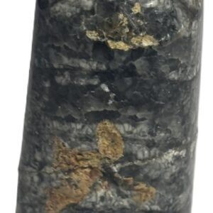 Orthoceras tail 7.2 - Sians Emporium Orthoceras tail 7.2