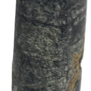 Orthoceras tail 7.3 - Sians Emporium Orthoceras tail 7.3