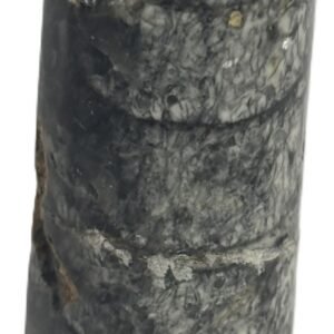 Orthoceras tail 7.4 - Sians Emporium Orthoceras tail 7.4