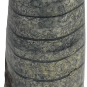 Orthoceras tail 5.1 - Sians Emporium Orthoceras tail 5.1