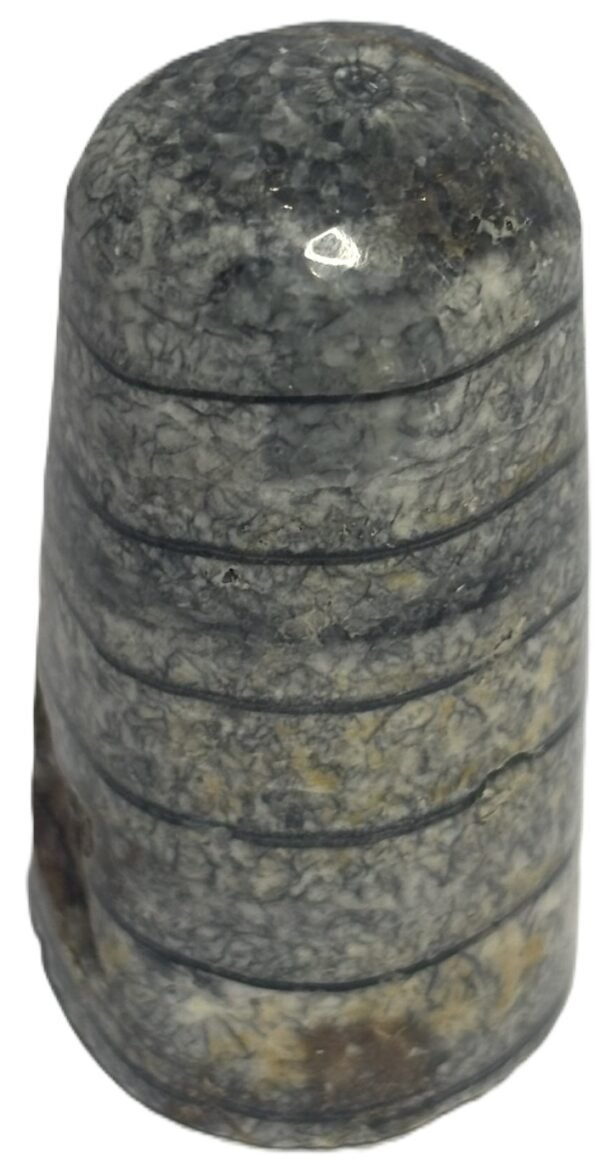 Orthoceras tail 5.1 - Sians Emporium Orthoceras tail 5.1