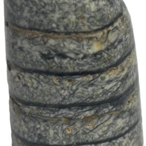 Orthoceras 6.4 - Sians Emporium Orthoceras 6.4