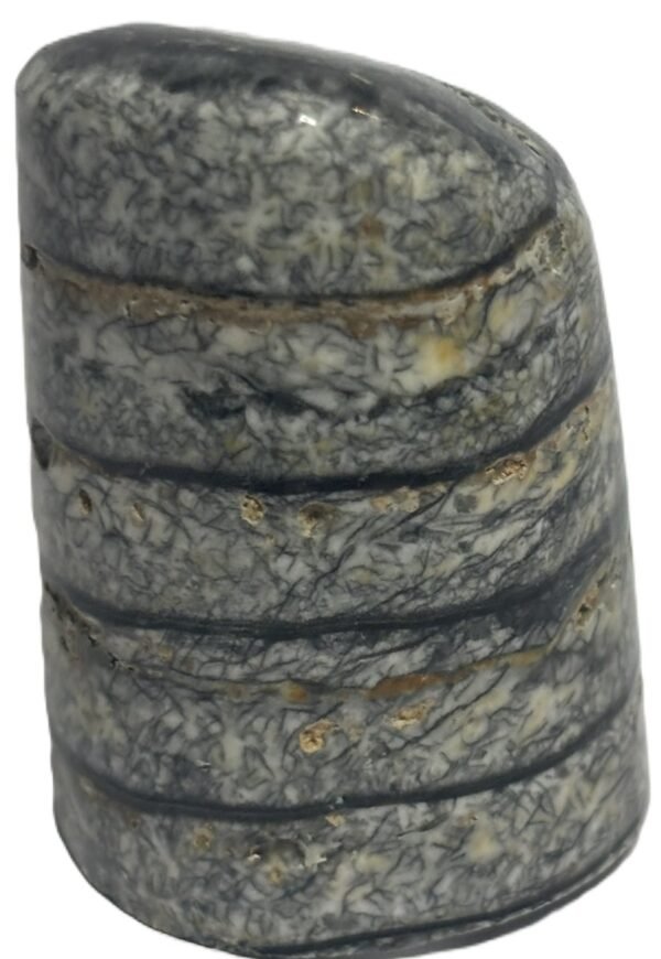 Orthoceras 6.4 - Sians Emporium Orthoceras 6.4