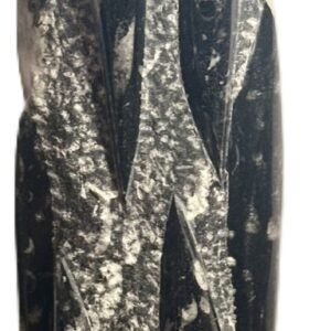 orthoceras statue 14 - Sians Emporium orthoceras statue 14