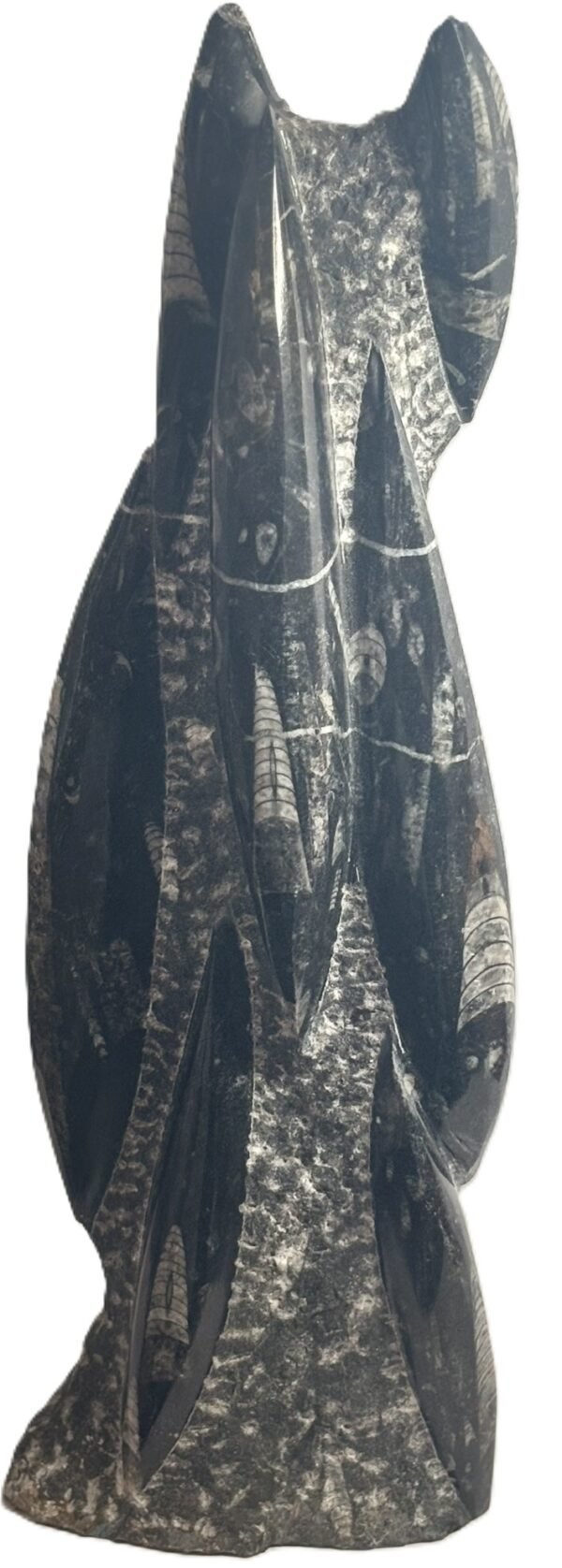 orthoceras statue 22 - Sians Emporium orthoceras statue 22