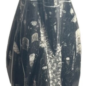 orthoceras statue 23 - Sians Emporium orthoceras statue 23