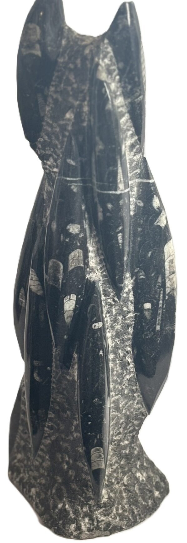 orthoceras statue 23 - Sians Emporium orthoceras statue 23