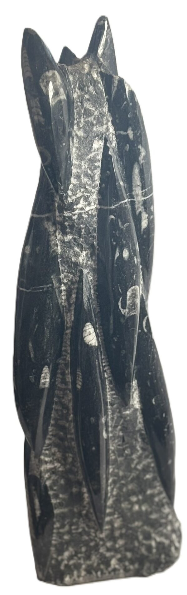 orthoceras statue 24 - Sians Emporium orthoceras statue 24