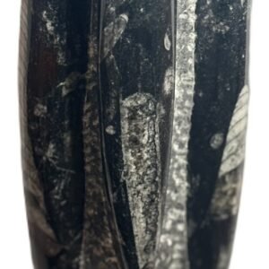 orthoceras statue a2 - Sians Emporium orthoceras statue a2