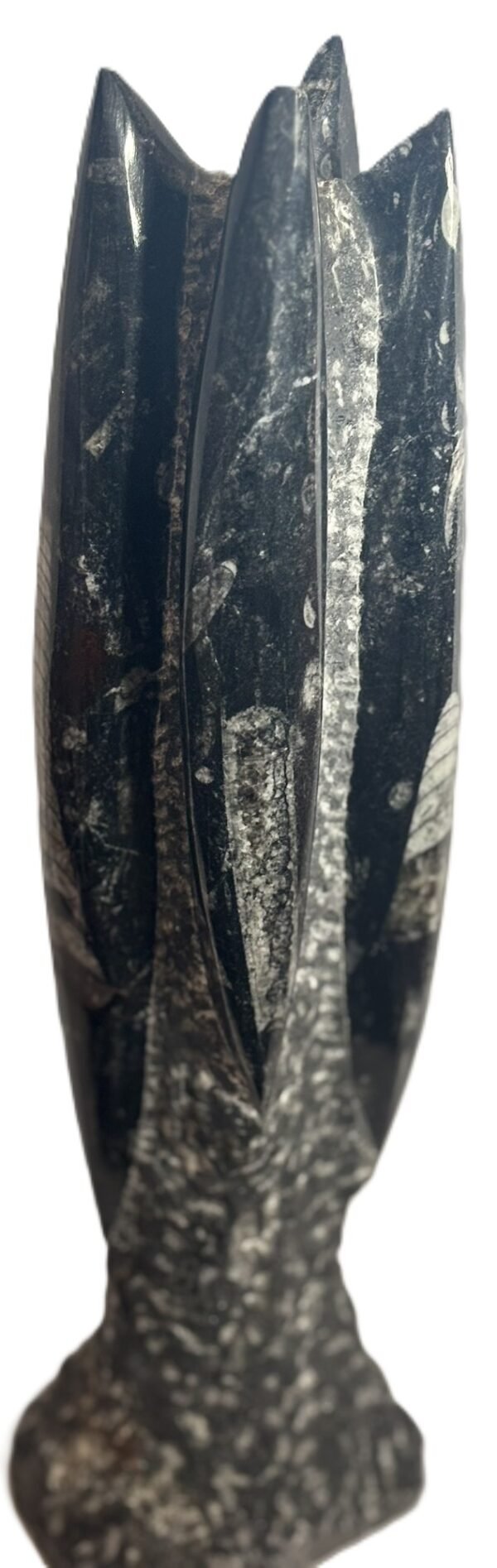 orthoceras statue a2 - Sians Emporium orthoceras statue a2