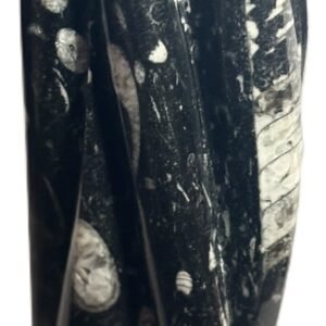 orthoceras statue b1 - Sians Emporium orthoceras statue b1