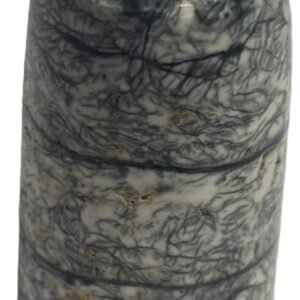 Orthoceras tail 30.1