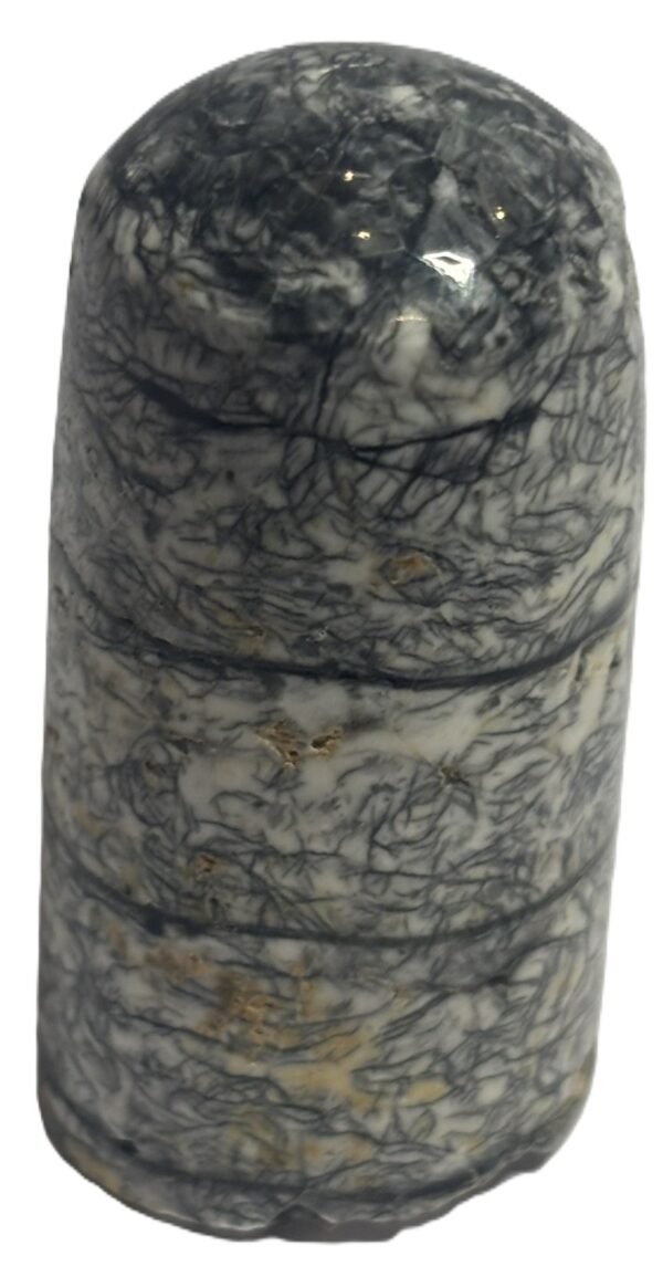 Orthoceras tail 30.1 - Sians Emporium Orthoceras tail 30.1