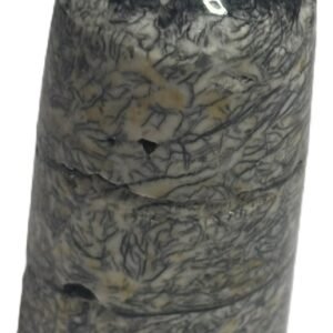 Orthoceras tail 30.2 - Sians Emporium Orthoceras tail 30.2