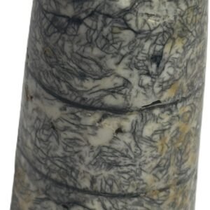 Orthoceras tail 30.3 - Sians Emporium Orthoceras tail 30.3