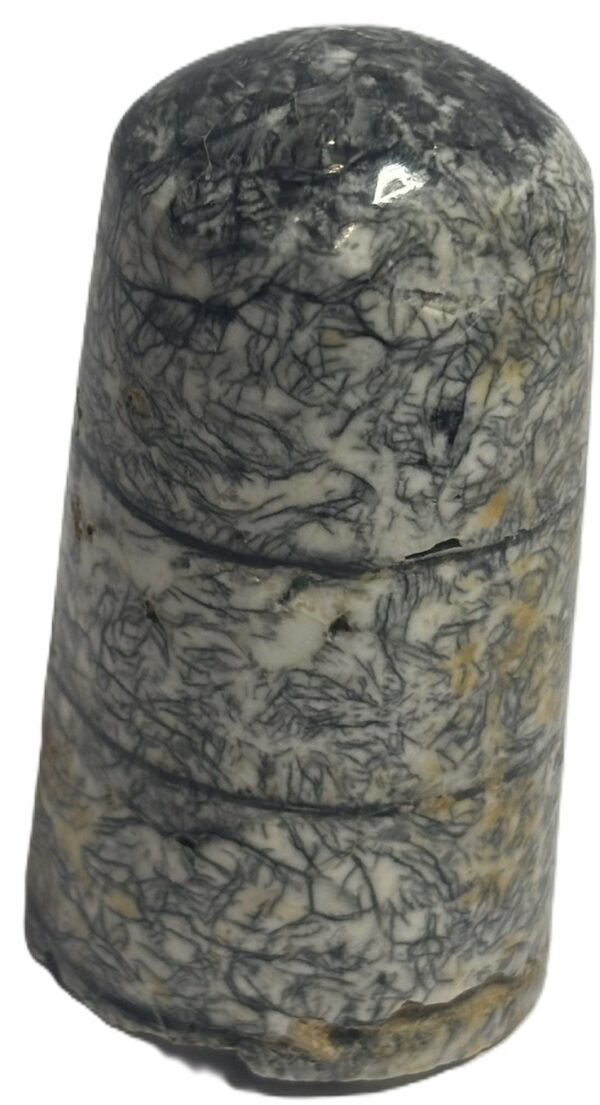 Orthoceras tail 30.3 - Sians Emporium Orthoceras tail 30.3