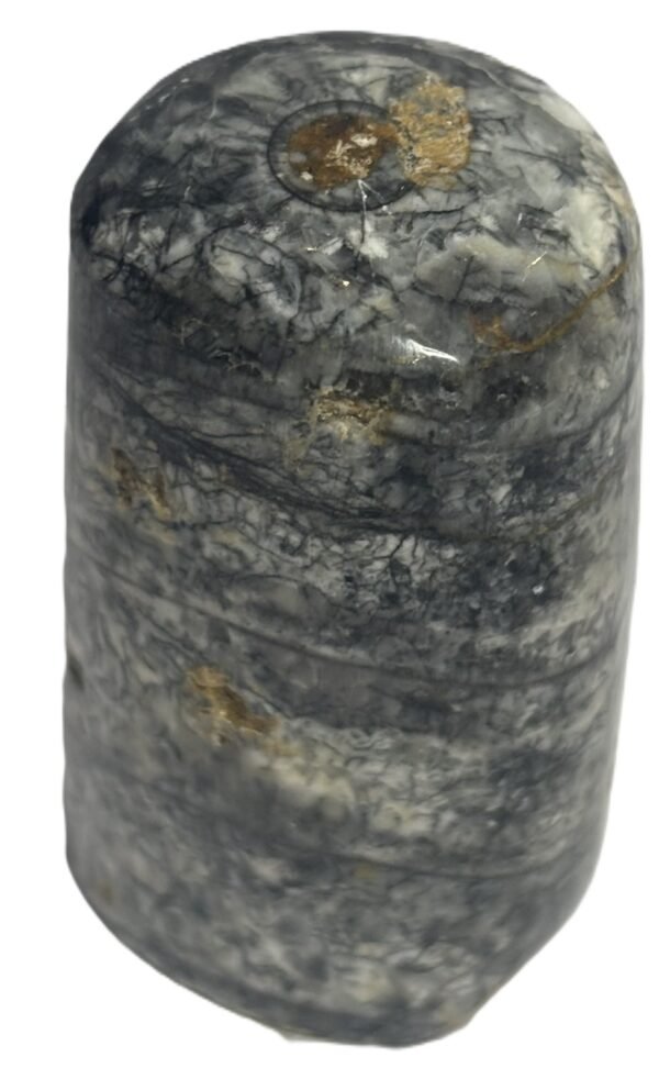 Orthoceras tail 4.2 - Sians Emporium Orthoceras tail 4.2