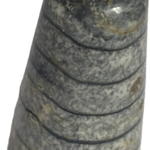 Orthoceras tail 5.3 - Sians Emporium Orthoceras tail 5.3