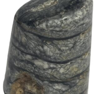 Orthoceras tail 6.2 - Sians Emporium Orthoceras tail 6.2