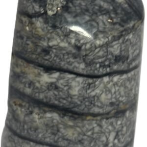 Orthoceras tail 6.3 - Sians Emporium Orthoceras tail 6.3