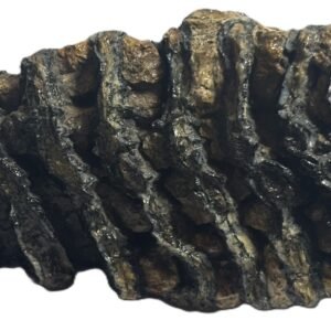 baby mammoth 12 - Sians Emporium baby mammoth 12