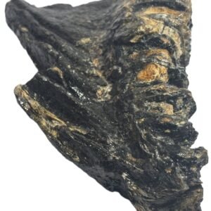 baby mammoth 14 - Sians Emporium baby mammoth 14